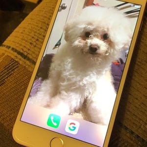 Meet your Posher, Ana rosa